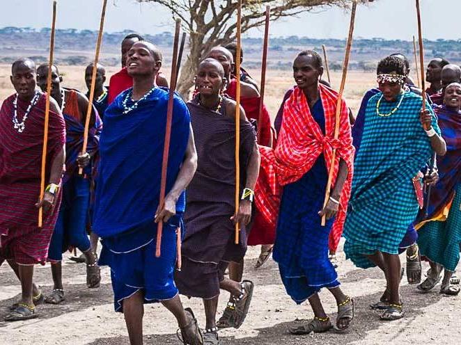 一群人拄着棍子在非洲行走